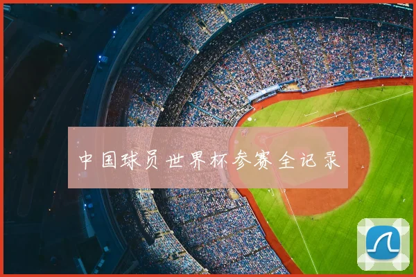 中国球员世界杯参赛全记录