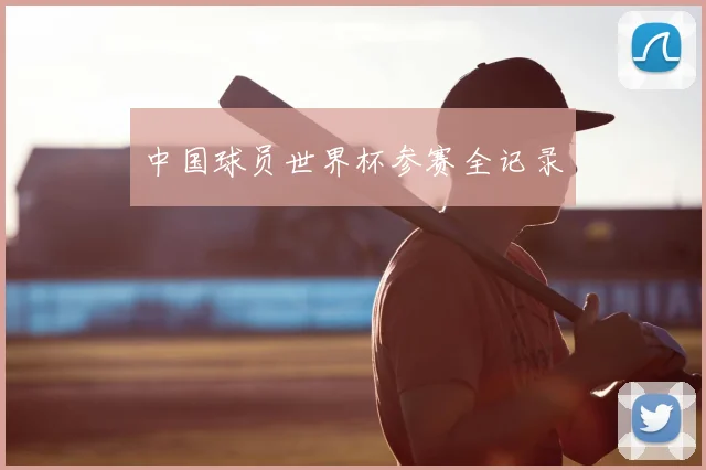 中国球员世界杯参赛全记录