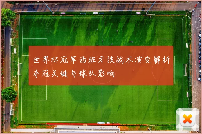 世界杯冠军西班牙技战术演变解析夺冠关键与球队影响