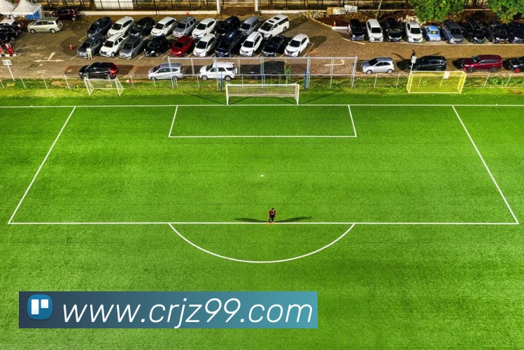 数据防护可视化